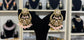 Arpan Gold Plated Baby Pink Earrings